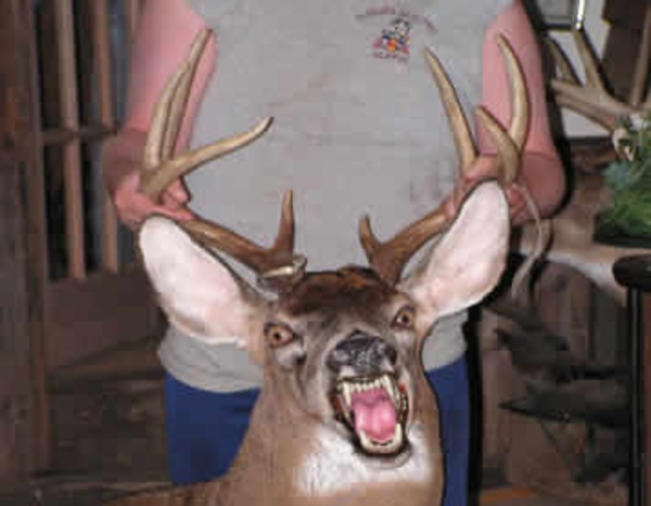 Satan's Friend from Terrible Taxidermy with Appropriate Names | E! News